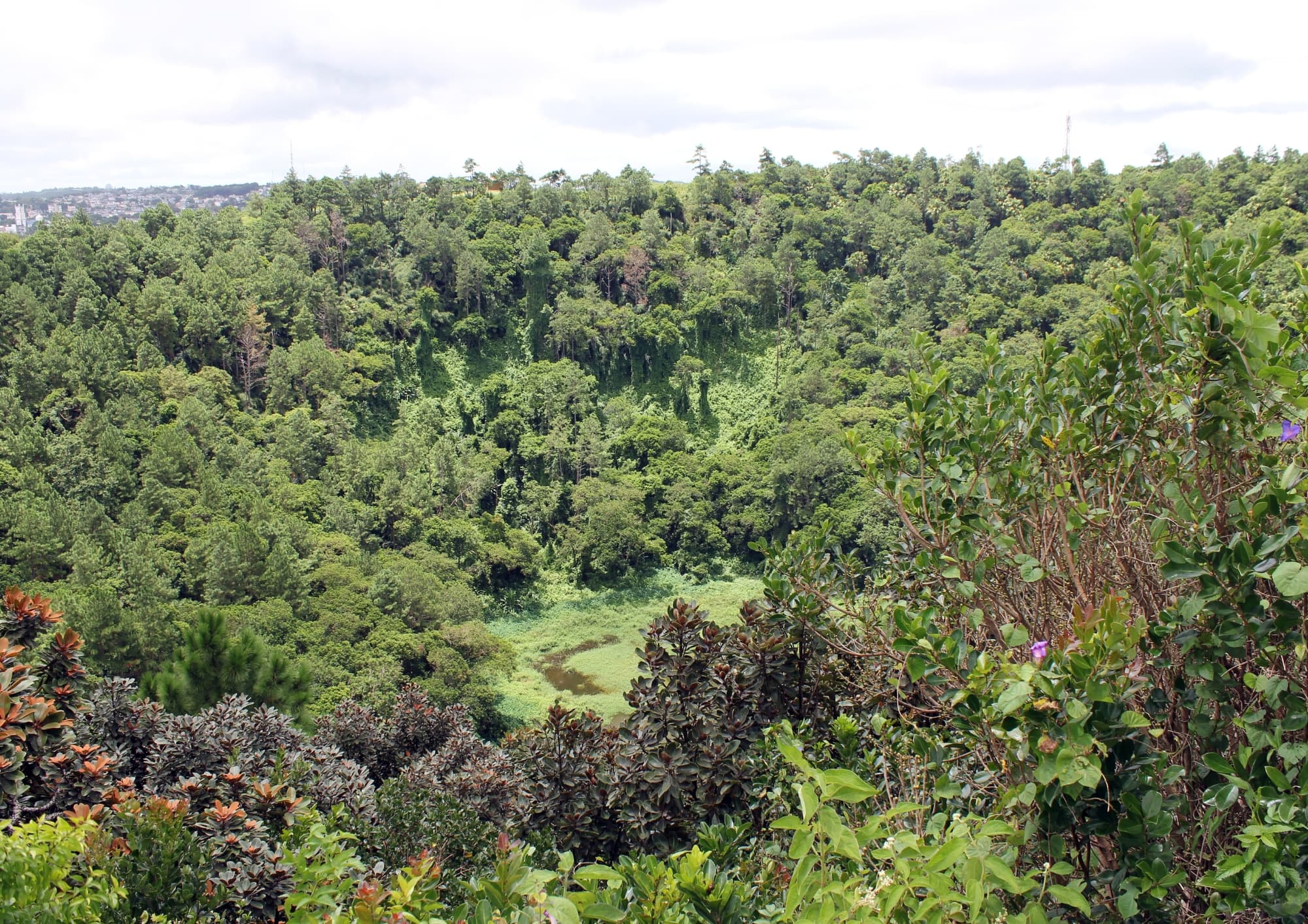 Residential Land in Floréal thumbnail 3