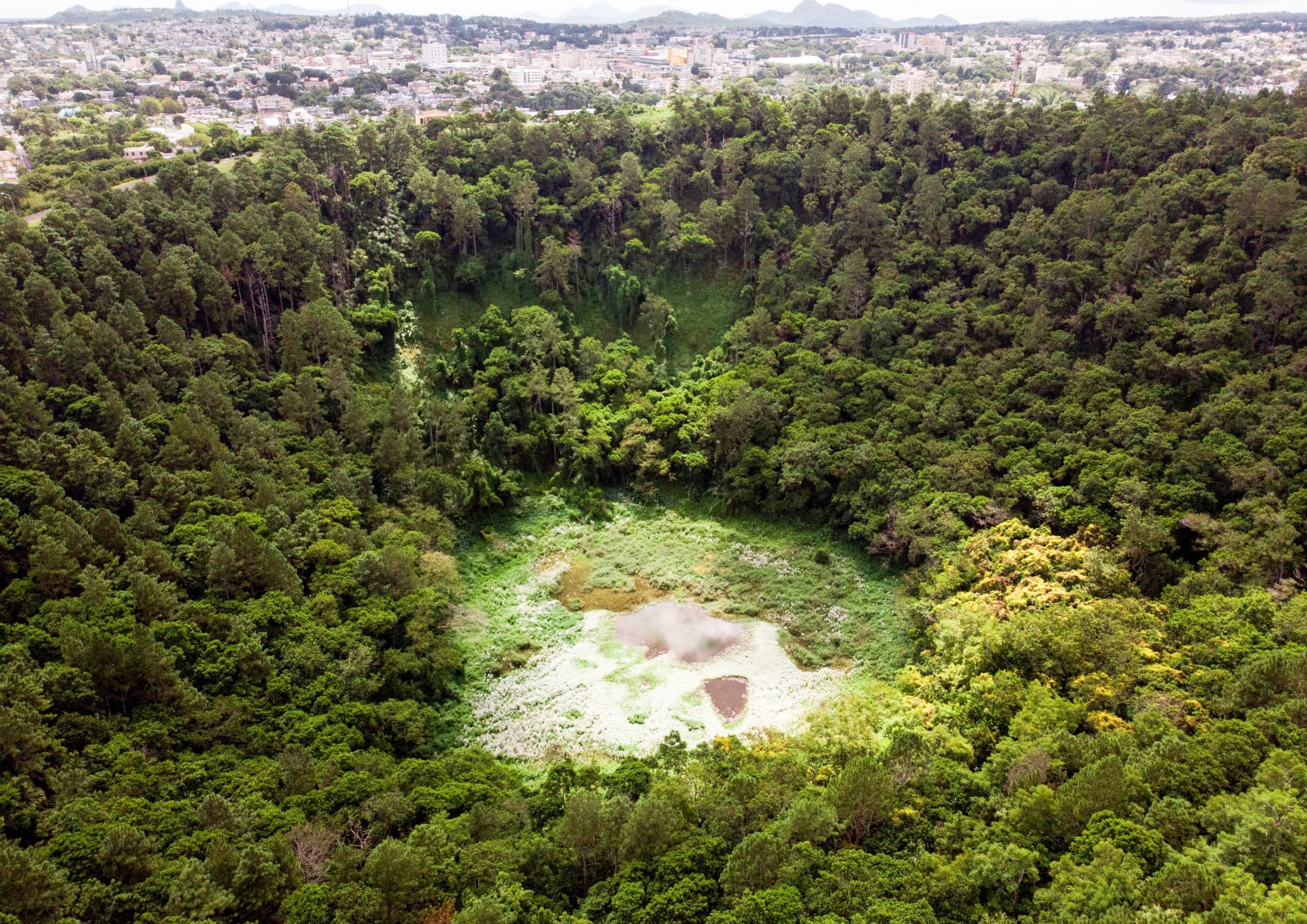 Residential Land in Floréal thumbnail 5